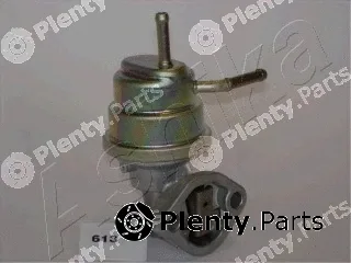 Ashika 05-06-613 — Fuel Pump