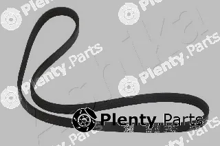 Ashika 112-4PK1022 — V-Ribbed Belt
