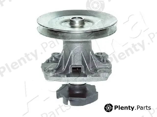 Ashika 35-00-0231 — Water Pump, engine cooling