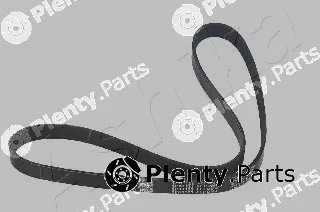 Ashika 112-6PK1123 — V-Ribbed Belt