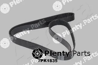 Ashika 112-7PK1835 — V-Ribbed Belt
