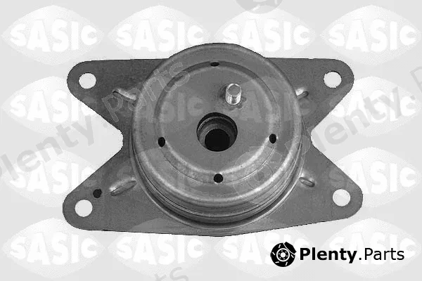 Sasic 9002484 — Mounting, engine