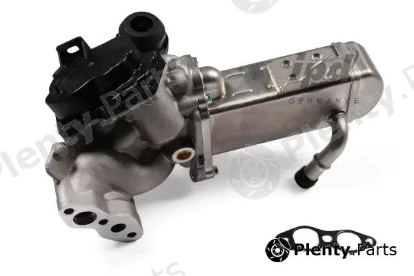 EGR Module