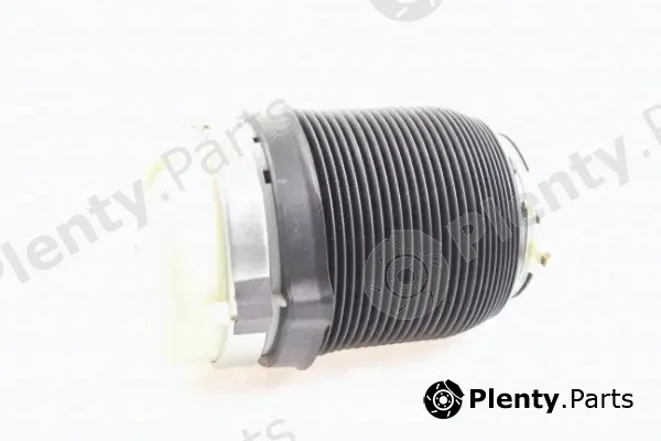 IPD 43-2004 — Air Spring, suspension