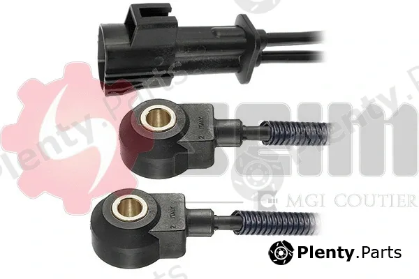 Seim CC67 — Knock Sensor
