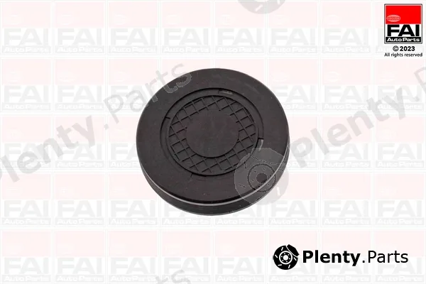 FAI AutoParts RMG880B — Plug, rocker arm shaft mounting bore