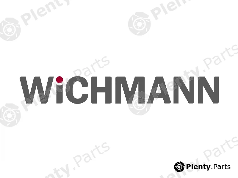 WiCHMANN 1104-90000 — Repair Kit, steering knuckle Repair kit