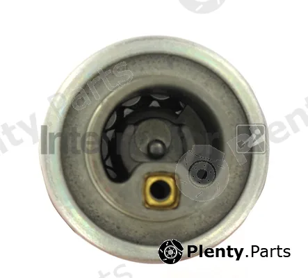 Intermotor 38841 — Fuel Pump