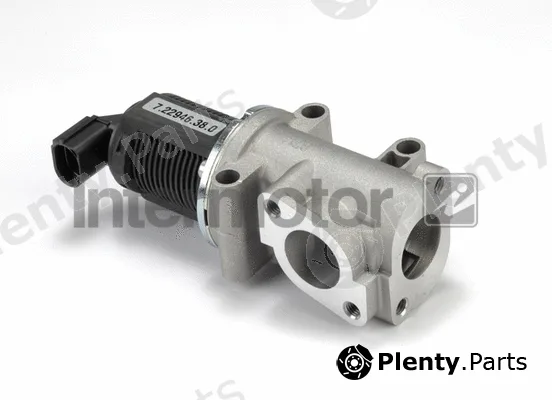 Intermotor 14313 — EGR Valve