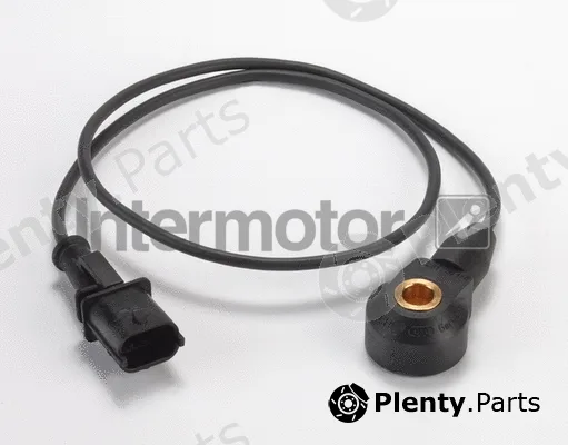 Intermotor 19569 — Knock Sensor
