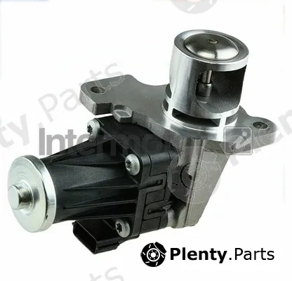 Intermotor 18099 — EGR Valve