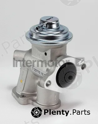 Intermotor 14359 — EGR Valve