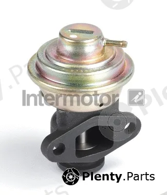 Intermotor 14919 — EGR Valve
