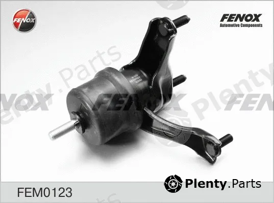 Fenox FEM0123 — Mounting, engine