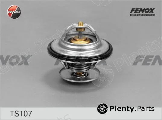 Fenox TS107 — Thermostat, coolant