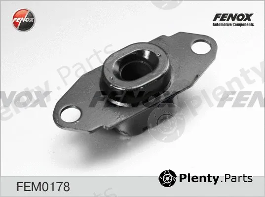 Fenox FEM0178 — Mounting, engine
