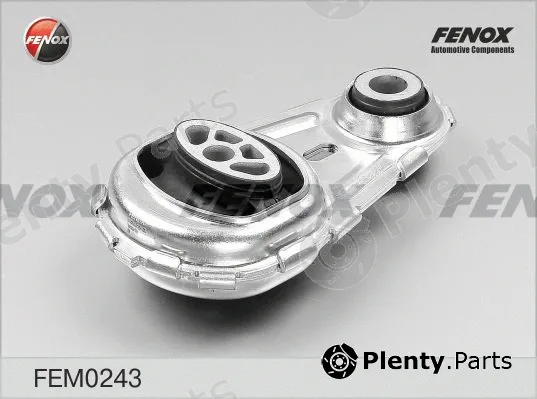 Fenox FEM0243 — Mounting, engine
