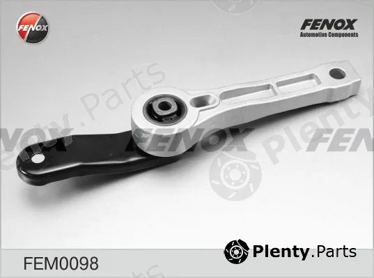 Fenox FEM0098 — Mounting, engine