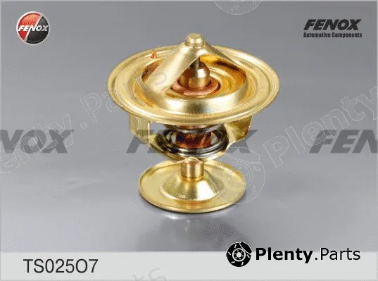 Fenox TS025O7 — Thermostat, coolant