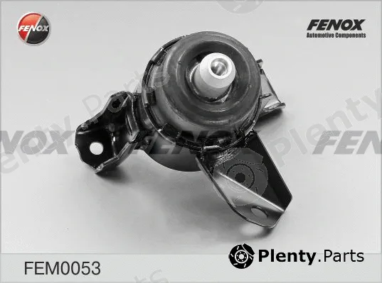 Fenox FEM0053 — Mounting, engine