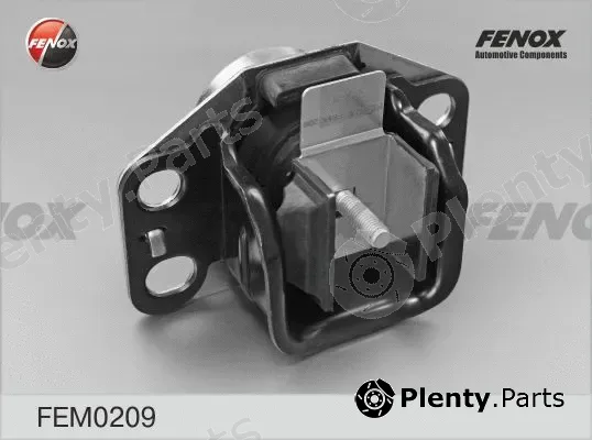 Fenox FEM0209 — Mounting, engine