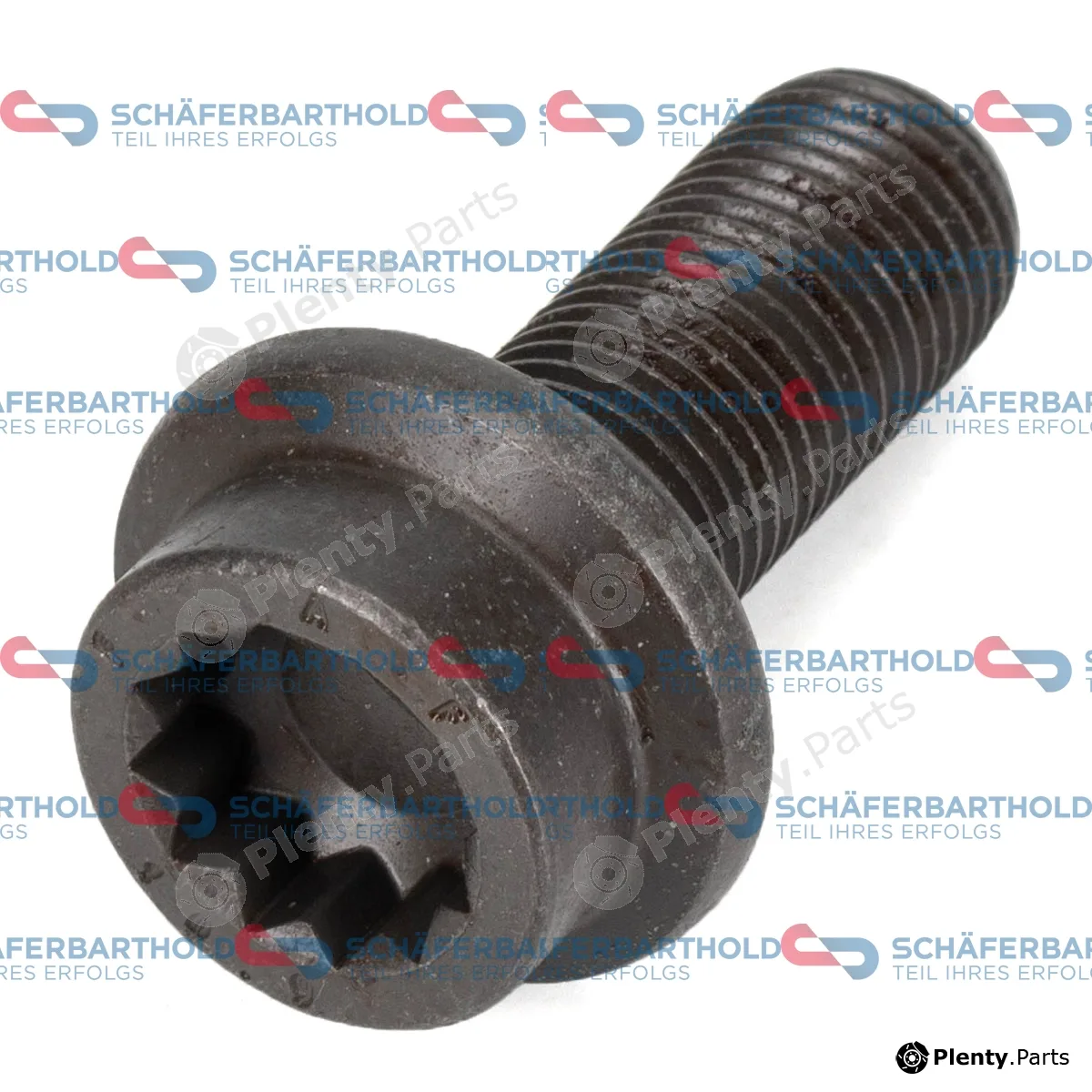 SchaeferbartholdGmbH 319186130122 — Bolt, camshaft gear ORIGINAL VW N 910 502 01