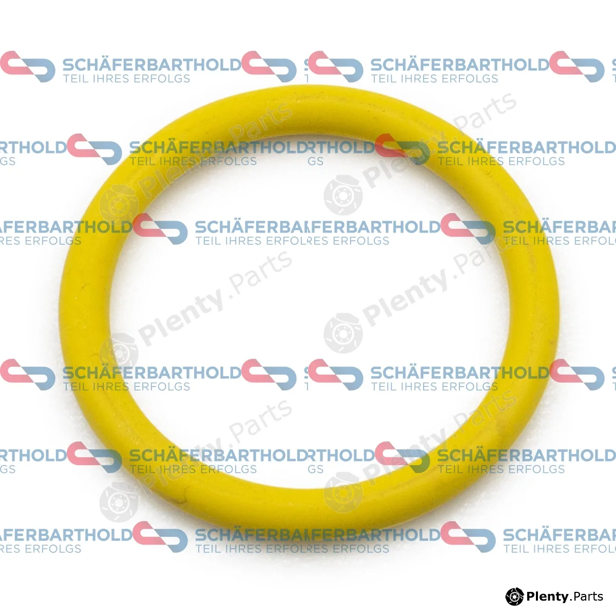 SchaeferbartholdGmbH 313020660122 — Seal, thermostat ORIGINAL BMW 11 53 2 248 435