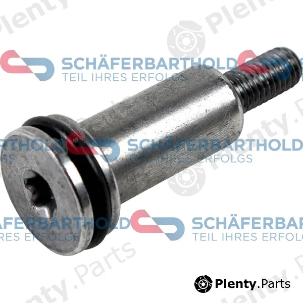 SchaeferbartholdGmbH 310275300111 — Sliding Rail Bolts, timing chain ORIGINAL CITROEN/PEUGEOT 0820.26