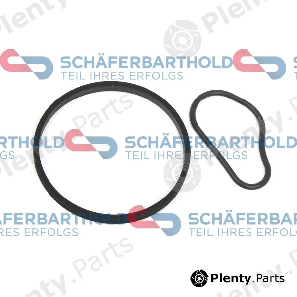SchaeferbartholdGmbH 313273000111 — Seal Set, vacuum pump ORIGINAL CITROEN/PEUGEOT 4599.41