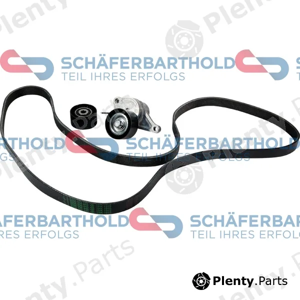 SchaeferbartholdGmbH 310285100111 — V-Ribbed Belt Set ORIGINAL RENAULT 77 01 476 645