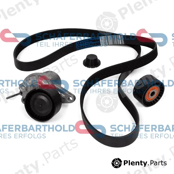 SchaeferbartholdGmbH 300285180111 — V-Ribbed Belt Set ORIGINAL RENAULT 11 72 098 86R