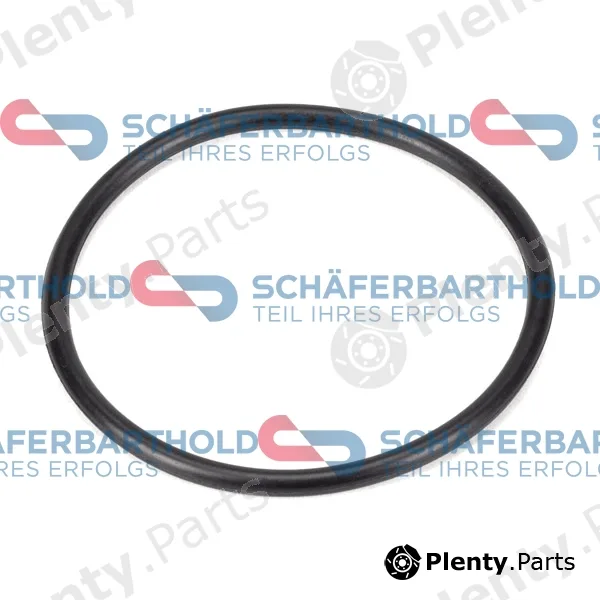 SchaeferbartholdGmbH 313020430111 — Seal, vacuum pump ORIGINAL BMW 11 66 7 794 767