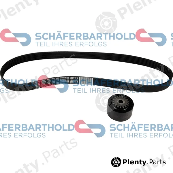 SchaeferbartholdGmbH 310286190111 — V-Ribbed Belt Set ORIGINAL RENAULT 77 01 478 934