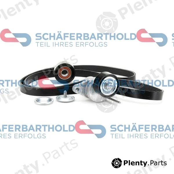 SchaeferbartholdGmbH 300285040111 — V-Ribbed Belt Set ORIGINAL RENAULT 11 72 067 46R