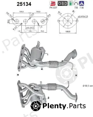AS 25134 — Catalytic Converter