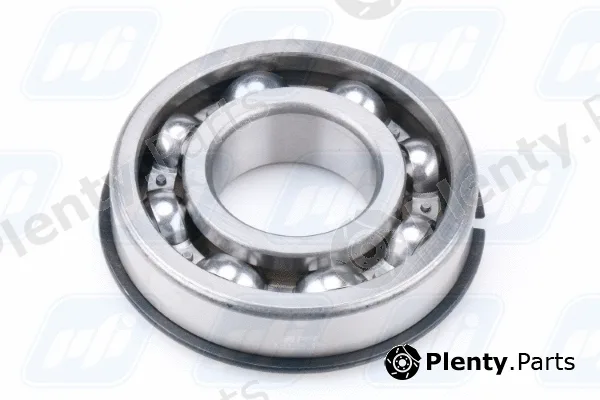 PFI 6308NRC3 — Bearing