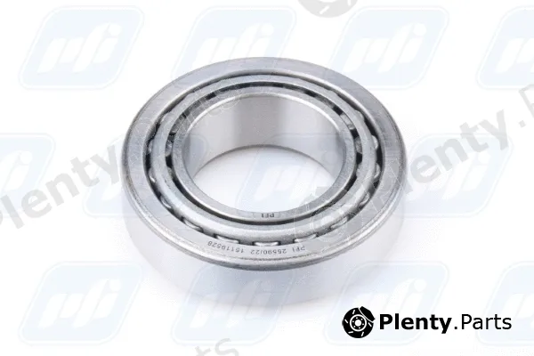 PFI 25590/22 — Wheel Bearing