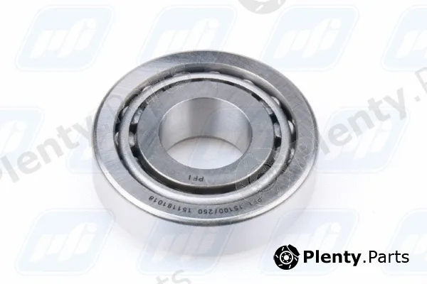 PFI 15100/250 — Bearing