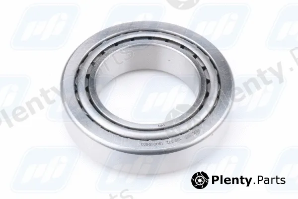 PFI 580/572 — Wheel Bearing