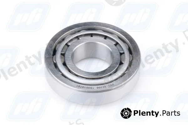 PFI 30306 — Bearing