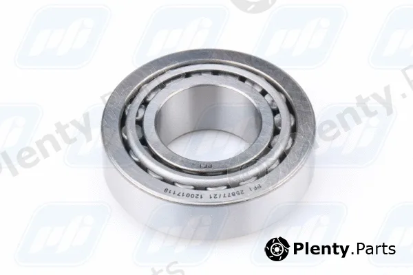 PFI 25877/21 — Wheel Bearing