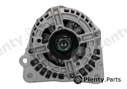 BV PSH 305.513.070.018 — Alternator RNL-Standard