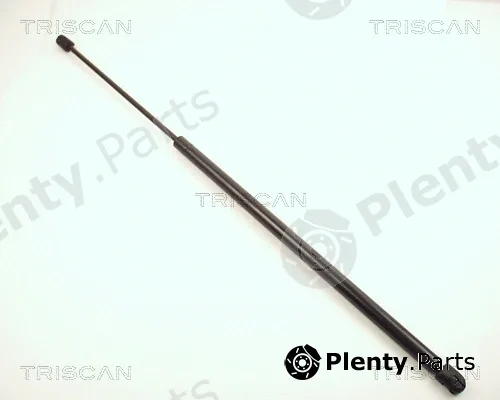 Kawe 87102428 — Gas Spring, boot/cargo area