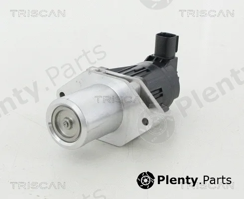 Kawe 881324209 — EGR Valve