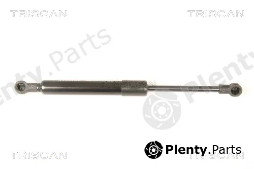 Kawe 871029292 — Gas Spring, boot/cargo area