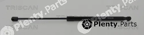 Kawe 8710292012 — Gas Spring, boot/cargo area