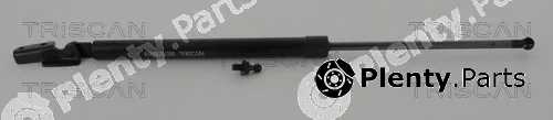 Kawe 871068217 — Gas Spring, boot/cargo area