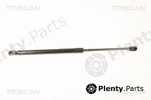 Kawe 871029287 — Gas Spring, boot/cargo area