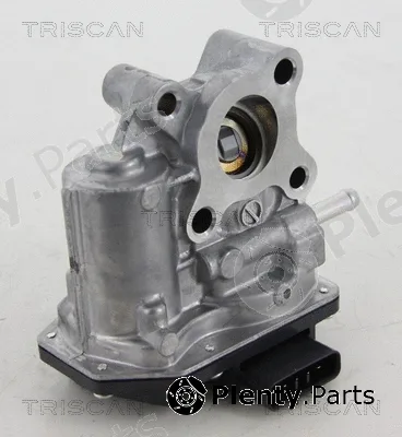 Kawe 881313200 — EGR Valve