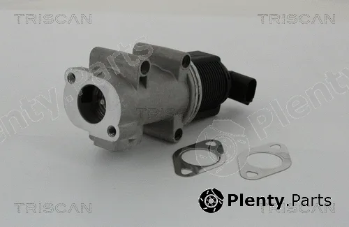 Kawe 881310005 — EGR Valve